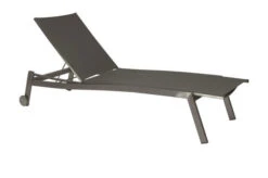 Ausgewählte Produkte 19 STERN Allround Rollenliege, Silbergrau, Edelstahl/Textil, 200x71x38 Cm, Verstellbare Rückenlehne