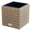 Ploß Rabida Pflanzgefäß, Champagner-meliert, Polyrattan, Kubisch, 28x28x28 Cm, Kunststoffeinsatz -Gartenladen 1 20151.jpg