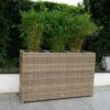 Ploß Rabida Pflanzgefäß, Champagner-meliert, Polyrattan, 113x40x70 Cm, Mit 3 Kunststoffeinsätzen 2 Ploß Rabida Pflanzgefäß, Champagner-meliert, Polyrattan, 113x40x70 Cm, Mit 3 Kunststoffeinsätzen -Gartenladen 1 20176.jpg