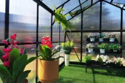 OUTFLEXX Gewächshaus, Schwarz, Alu/Polycarbonat, 494x250x228cm, Pulverbeschichtet -Gartenladen 22281 10.jpg