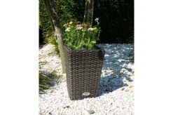 Ploß Rocking Pflanzgefäß, Grau/braun-meliert, Polyrattan, Konisch, 28x28x40 Cm, Kunststoffeinsatz -Gartenladen 2 18198.jpg