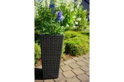 Ausgewählte Produkte -Gartenladen 2 18199.jpg