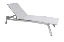 Ausgewählte Produkte -Gartenladen 2 21911.jpg