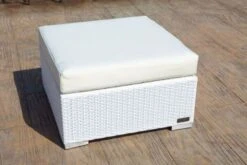 Ausgewählte Produkte -Gartenladen 2 2511 8.jpg