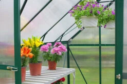 OUTFLEXX Gewächshaus, Grün, Alu/Polycarbonat, 6mm, Inkl. Fundament, Pulverb. 258 X 195 X 205 Cm -Gartenladen 3 13757.jpg