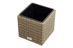 Ploß Rabida Pflanzgefäß, Champagner-meliert, Polyrattan, Kubisch, 28x28x28 Cm, Kunststoffeinsatz -Gartenladen 3 20151.jpg
