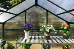 OUTFLEXX Gewächshaus, Grün, Alu/Polycarbonat, 190x125x203 Cm, Pulverbeschichtet -Gartenladen 4 20085.jpg