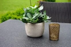 Ploß Rocking Dining Tisch, Grau/braun-meliert, Polyrattan, 90 X 90 Cm, Glasplatte In Steinoptik -Gartenladen 4 20156.jpg