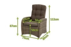 Ploß Rabida Comfort Dining / Lounge Sessel, Champagner-meliert, Polyrattan, 73x85x112 Cm, Verstellbar 24 Ploß Rabida Comfort Dining / Lounge Sessel, Champagner-meliert, Polyrattan, 73x85x112 Cm, Verstellbar -Gartenladen 5 20162.jpg