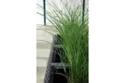 Ploß Rocking Pflanzgefäß, Grau/braun-meliert, Polyrattan, 113x40x70 Cm, Mit 3 Kunststoffeinsätzen -Gartenladen 8 20158.jpg